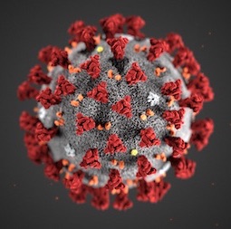 Coronavirus disease 2019 (COVID-19) images
